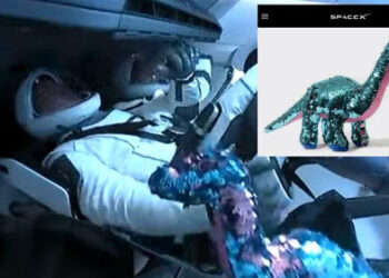 Conoce el curioso pasajero de la nave SpaceX