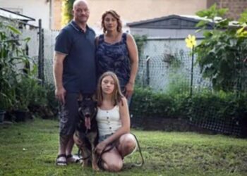 Murió Buddy, el primer perro que dio positivo a COVID-19 en EUA