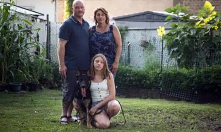 Murió Buddy, el primer perro que dio positivo a COVID-19 en EUA