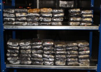 Entre baldosas había 70 paquetes con metanfetamina