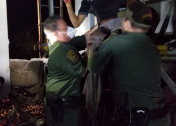 Salvan la vida a indocumentado mexicano; tren le cortó el pie