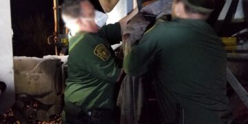 Salvan la vida a indocumentado mexicano; tren le cortó el pie