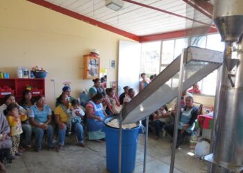 Crean maquinaria procesadora de amaranto en apoyo de productores 