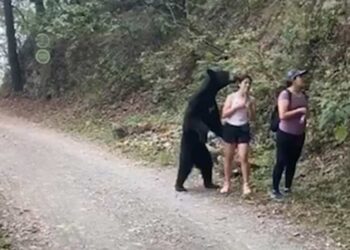 Oso sorprende a deportistas en Nuevo León y se toman selfie