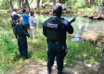 Cocodrilo espanta a paseantes en río