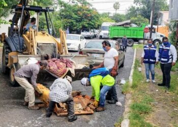 Atiende Medio Ambiente a ciudadanía en vacaciones