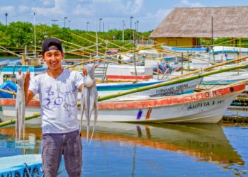 Iniciará captura para pulpo rojo y patón en el Golfo de México y mar Caribe
