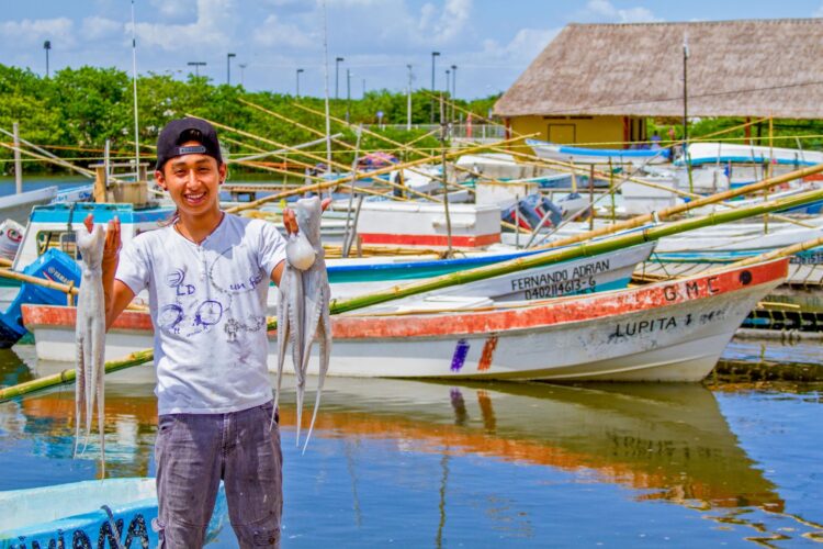 Iniciará captura para pulpo rojo y patón en el Golfo de México y mar Caribe