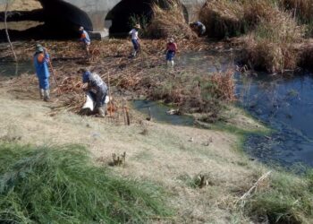 Limpian drenes y arroyos para  prevenir charcos y rebosamientos