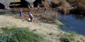 Limpian drenes y arroyos para  prevenir charcos y rebosamientos