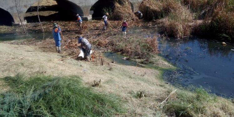 Limpian drenes y arroyos para  prevenir charcos y rebosamientos