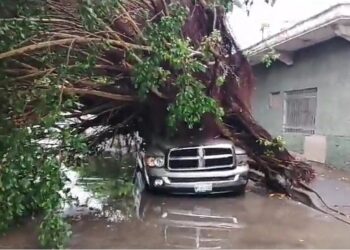 Tormenta deja sin luz 3 colonias,  árbol caído, 3 autos dañados e inundaciones en Madero