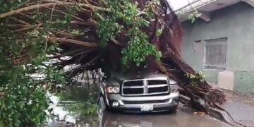 Tormenta deja sin luz 3 colonias,  árbol caído, 3 autos dañados e inundaciones en Madero