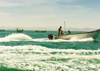 Reconoce Conapesca el cooperativismo pesquero este 4 de julio