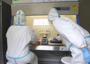 Para OMS ensayos con hidroxicloroquina contra COVID-19