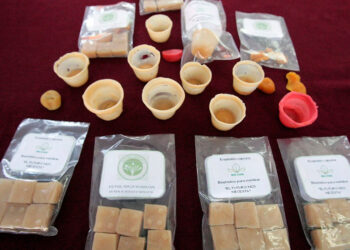 Crean bioplástico de cáscara de naranja alumnos del Politécnico