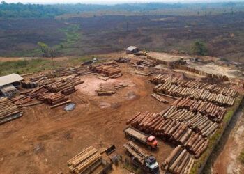 Brasil en el ojo mundial por deforestación de la Amazonía y por COVID