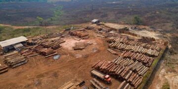 Brasil en el ojo mundial por deforestación de la Amazonía y por COVID