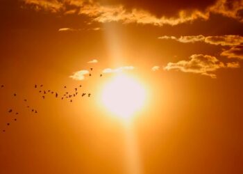 ¿Qué es la canícula?