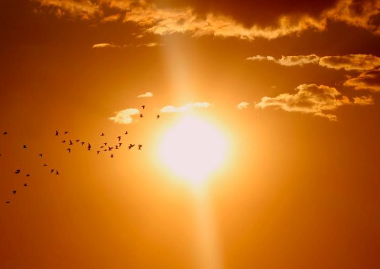 ¿Qué es la canícula?