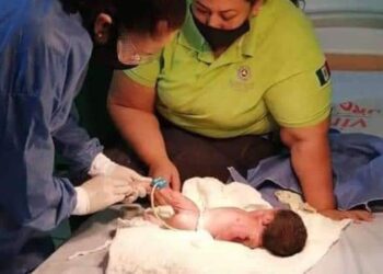 Llanto incesante salva la vida a bebé abandonado