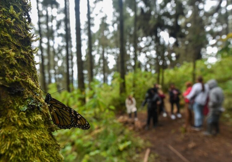 En Canadá policías atacan a trabajadores mexicanos al confundirlos con narcos