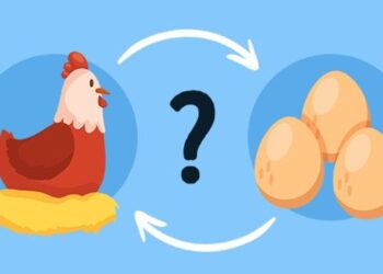 ¿Qué fue primero, el huevo o la gallina? Aquí la respuesta