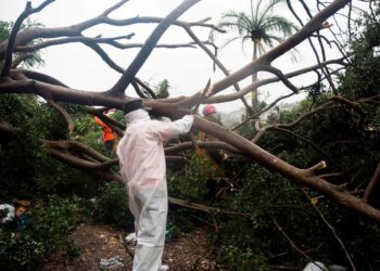 Isaías y la pandemia de la COVID-19, la ‘tormenta perfecta