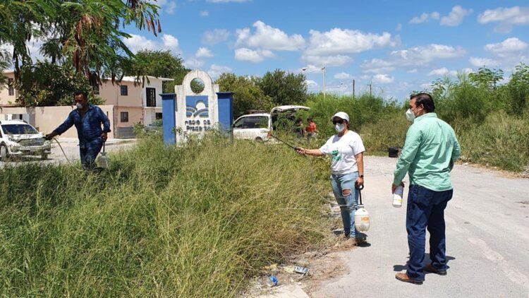 Realiza Partido Verde jornada  sanitaria en Matamoros