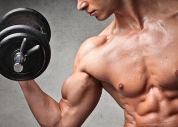 ¿Sabes cuál es el músculo más fuerte del cuerpo humano?