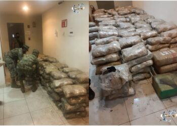 Aseguran 1150 paquenes con 700 kg de marihuana en Ensenada, B. C.
