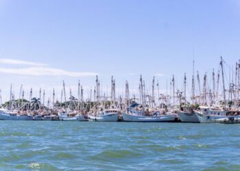 Amplía Conapesca veda al camarón en Golfo de México al 1 de septiembre