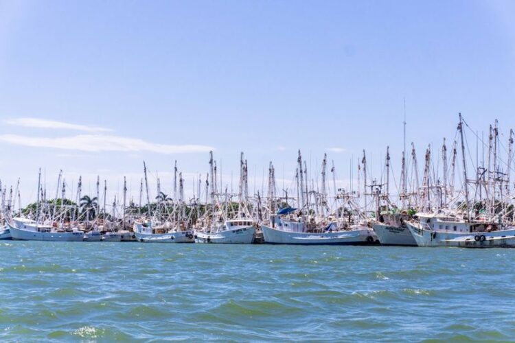 Amplía Conapesca veda al camarón en Golfo de México al 1 de septiembre