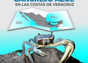 Establecen veda temporal para pesca de cangrejo azul en costas de Veracruz