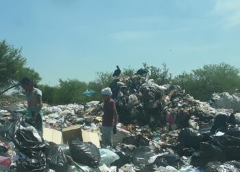 Pepenadores y zopilotes en la búsqueda de la sobrevivencia