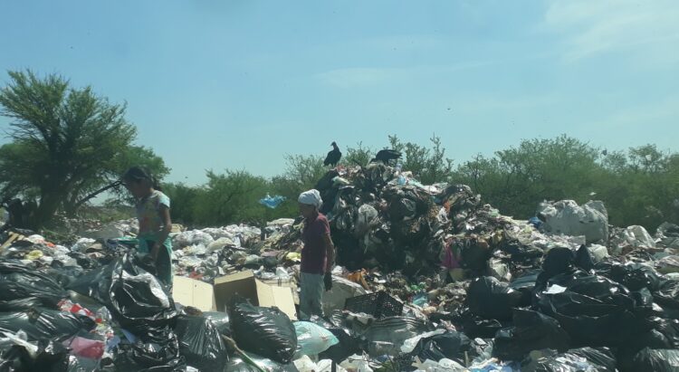 Pepenadores y zopilotes en la búsqueda de la sobrevivencia
