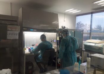 Rebasa Tamaulipas mil 600 muertos por Coronavirus 