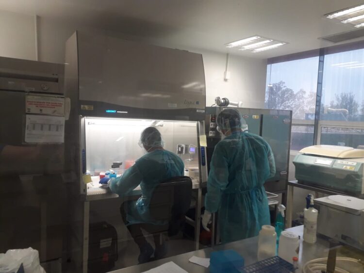 Rebasa Tamaulipas mil 600 muertos por Coronavirus 