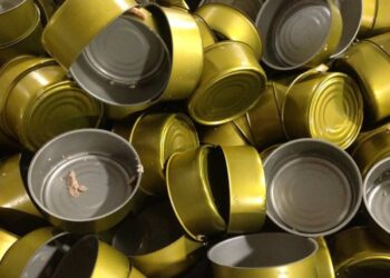 Descubren carne de delfín en latas de atún en México