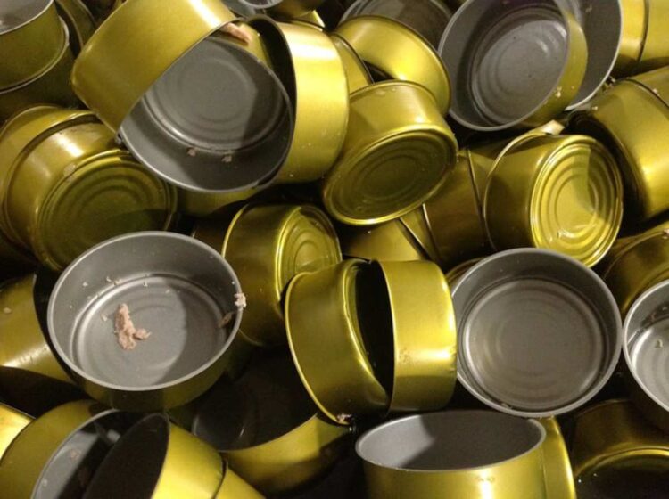 Descubren carne de delfín en latas de atún en México