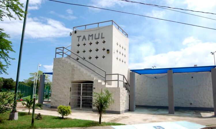 Evalúan facilitar Tamules a estudiantes sin internet