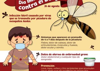 Tamaulipas entre 6 estados con más dengue en el país