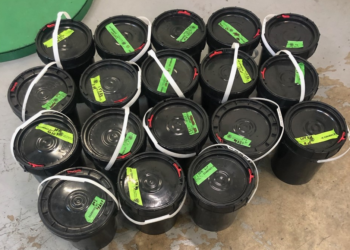 Descubren en equipaje de abuelito 3.3 millones de dólares en drogas