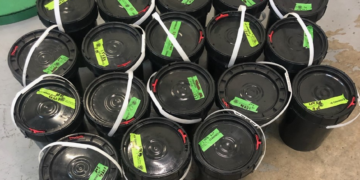 Descubren en equipaje de abuelito 3.3 millones de dólares en drogas