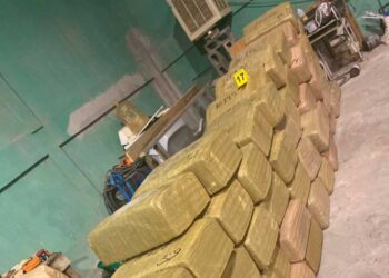 Incautan más de media tonelada de droga en Nuevo León