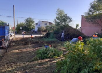 Previene limpieza de la ciudad focos de infección