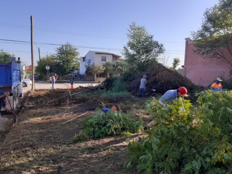 Previene limpieza de la ciudad focos de infección