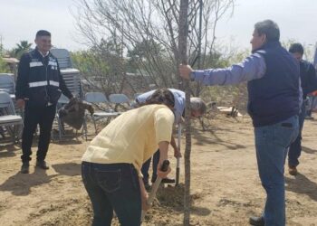 Certifican a NLD con Norma Ambiental ISO internacional