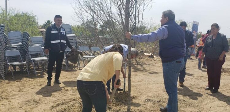 Certifican a NLD con Norma Ambiental ISO internacional