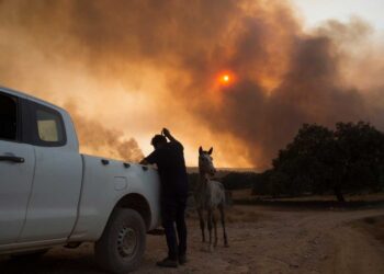 Controlan incendio en España y miles vuelven a casa